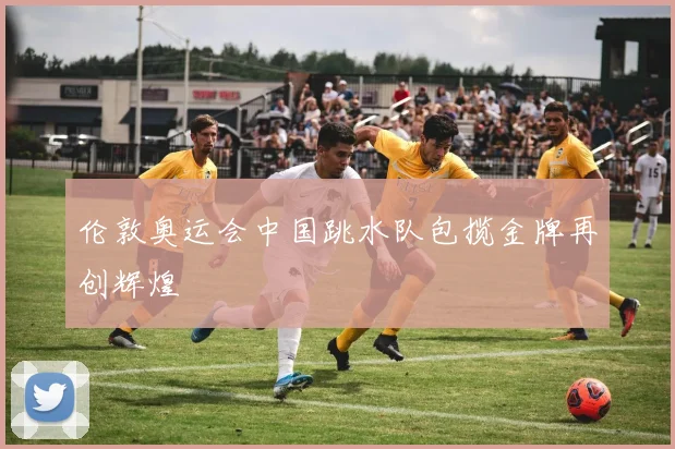 伦敦奥运会中国跳水队包揽金牌再创辉煌