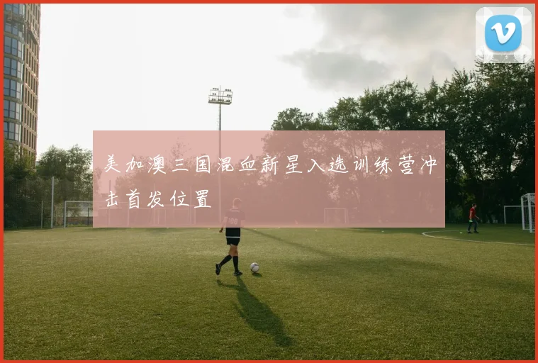 美加澳三国混血新星入选训练营冲击首发位置
