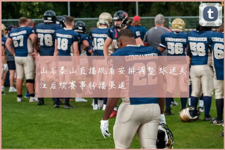 山东泰山直播观看安排调整 球迷关注后续赛事转播渠道