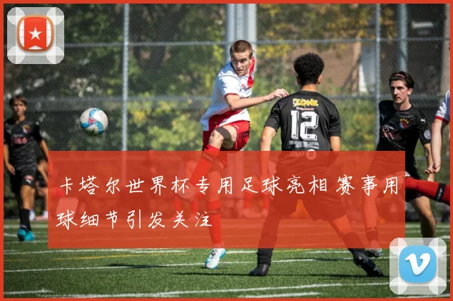 卡塔尔世界杯专用足球亮相 赛事用球细节引发关注